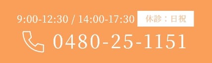0480-25-1151