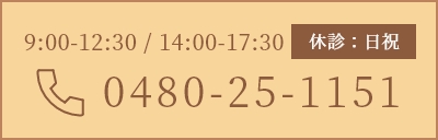 0480-25-1151
